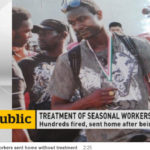 CBC video of injured migrant workers